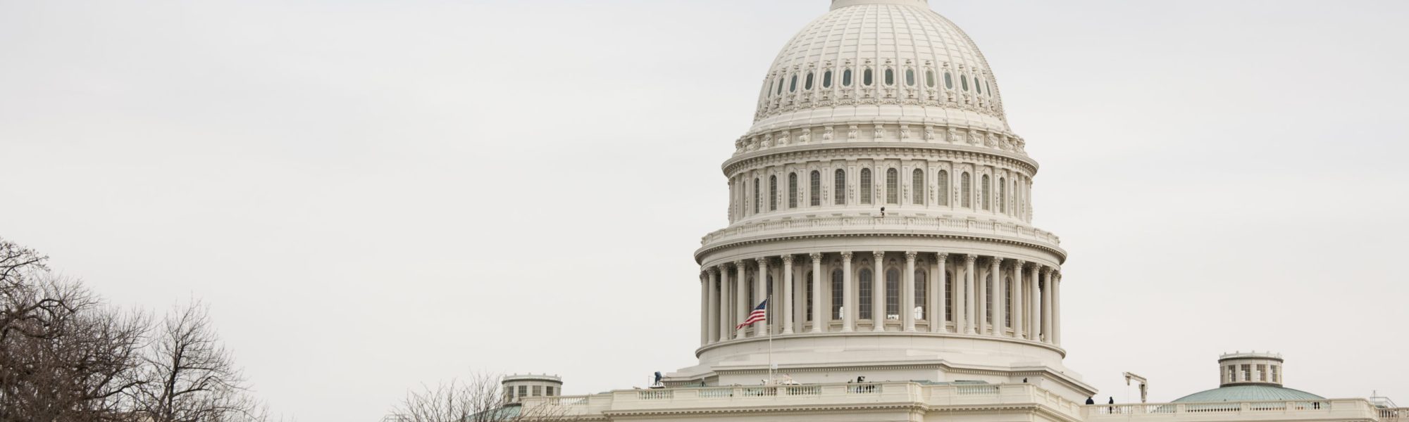 The US Capitol Building, decorated in preparation for the inauguration of President Obama.